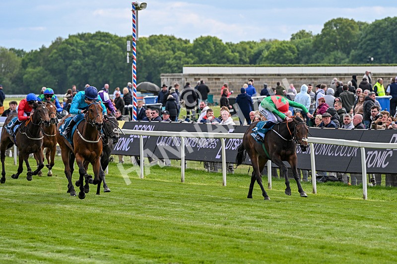 150526-Race 4-Love A Giggle-7731 - Race 4 3.30pm Design Tonic Out Of This World Spaces At The Races EBF Marygate Fillies' Stakes
