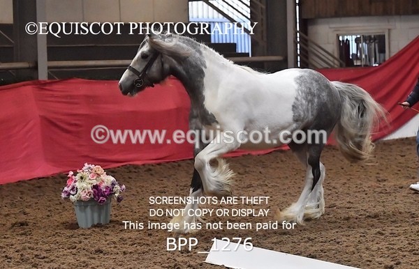 BPP_1276 - MORNING 9AM - 12PM