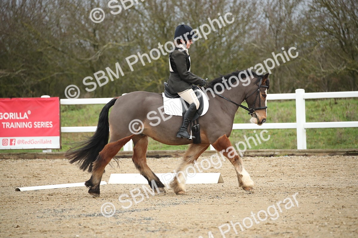 SBM_002365 - Intro 1