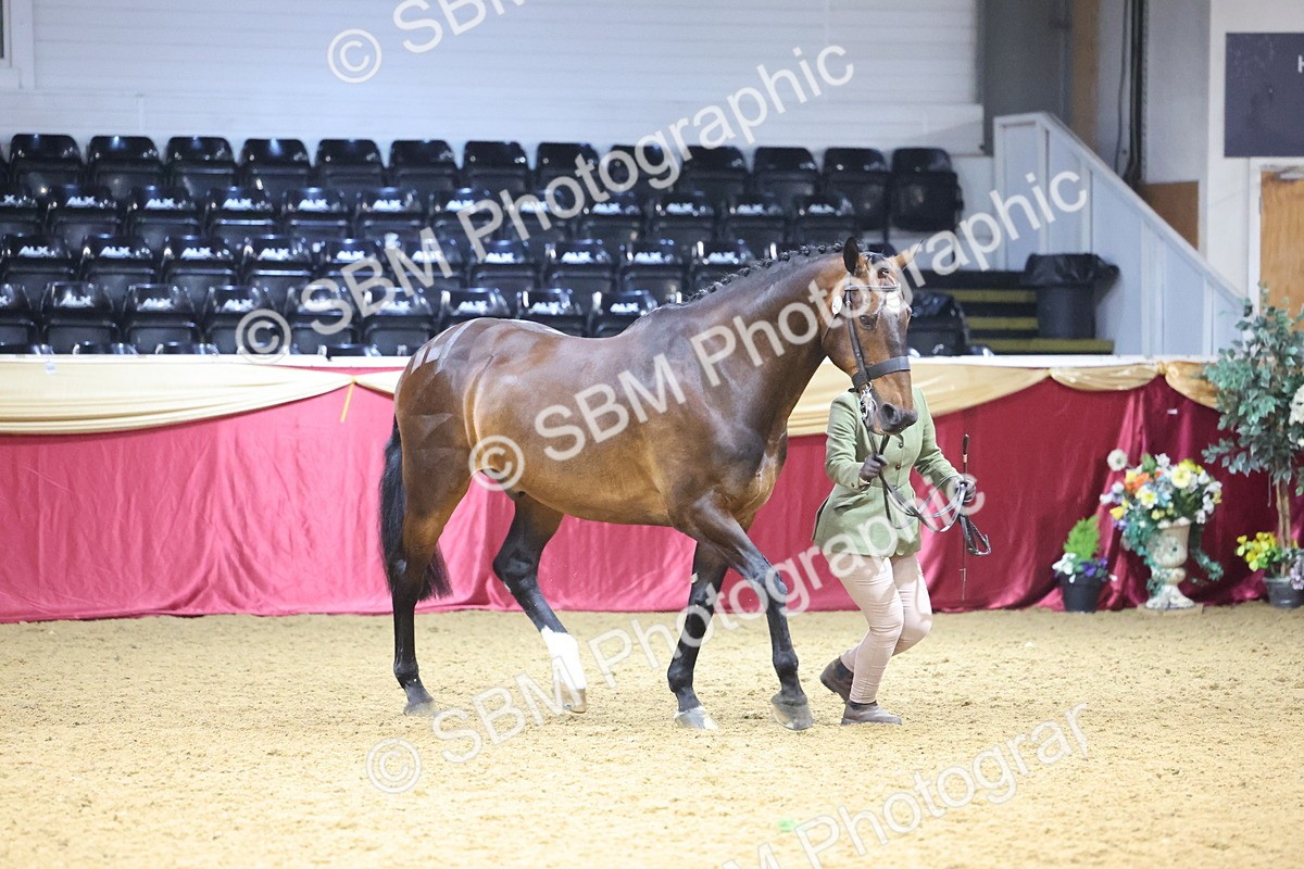 SBM_20837 - Class 902 - Supreme Final IH Veteran