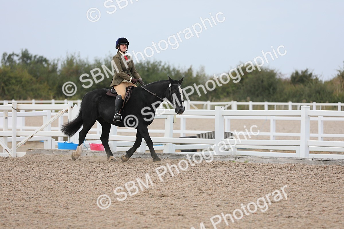 SBM_16862 - Class 314 Family Horse/Pony