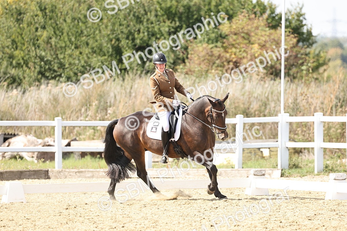 SBM_014908 - Class 7 - Medium 3