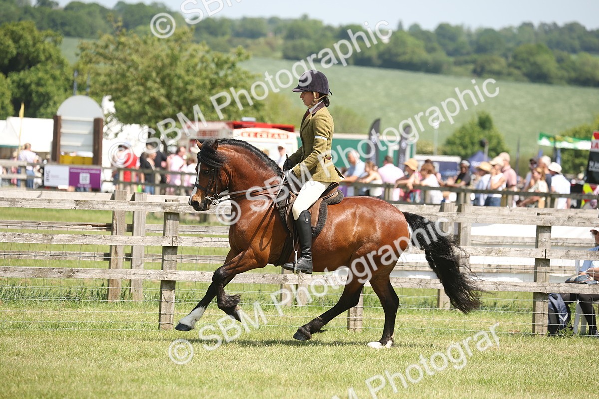 SBM_06960