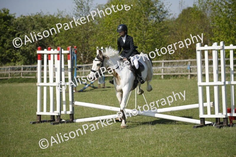 20250427-0443 - Class 12 - Rookie Jumping 40cm