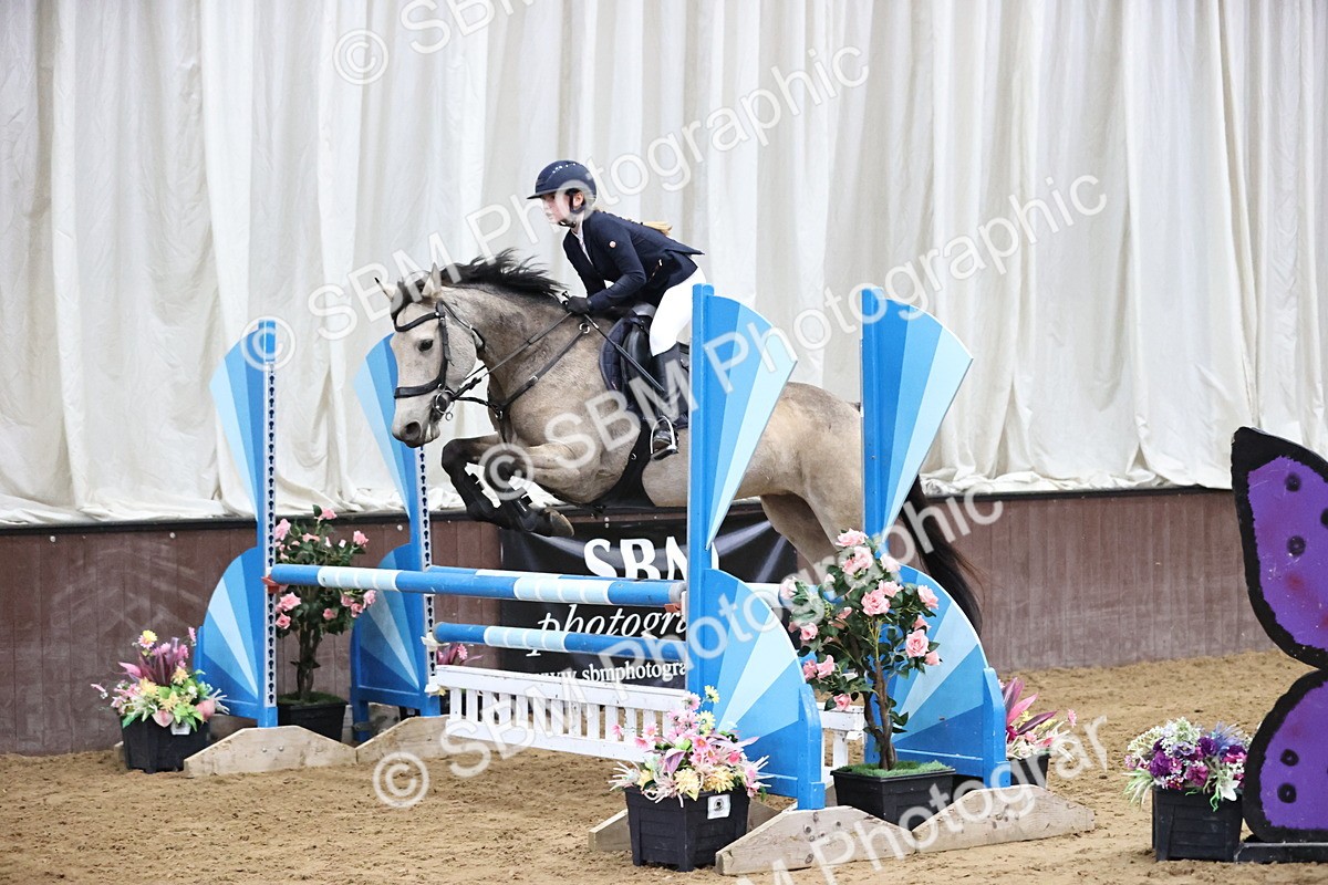 SBM_002320 - Class 11 - Pony Discovery - 90cm Open