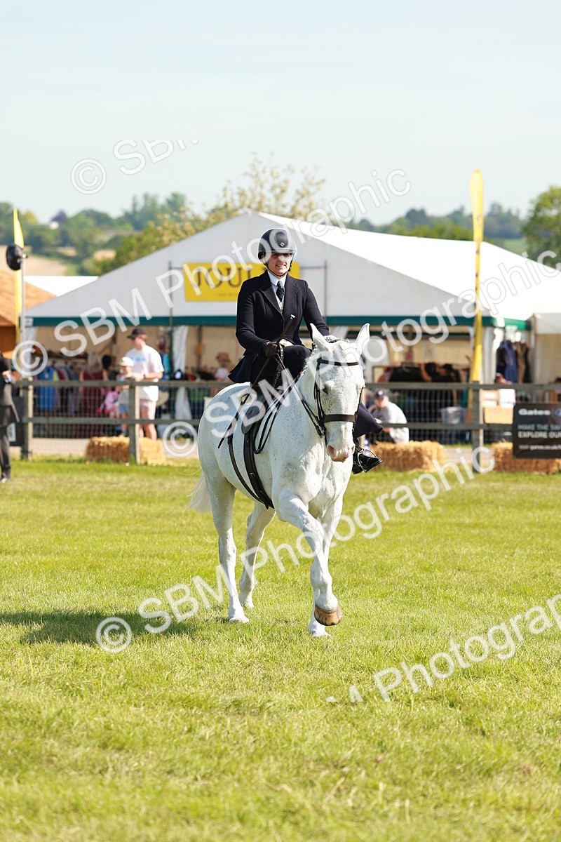 SBM_13161 - Class 70-71 - Side Saddle
