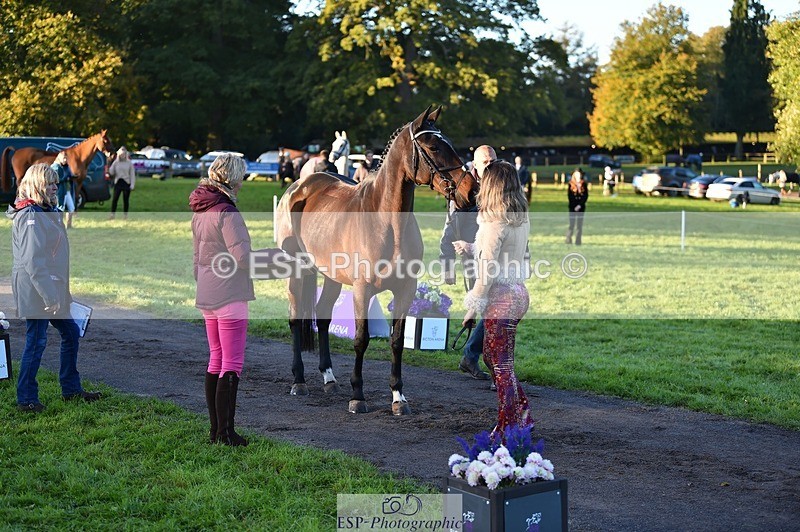 231022-084448-21326 - 670-SEEK.INDI-Maia.Ramasamy-TrotUp+SJ