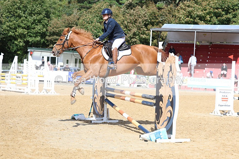 3E7A9365 - Class 9: Senior British Novice/90cm open