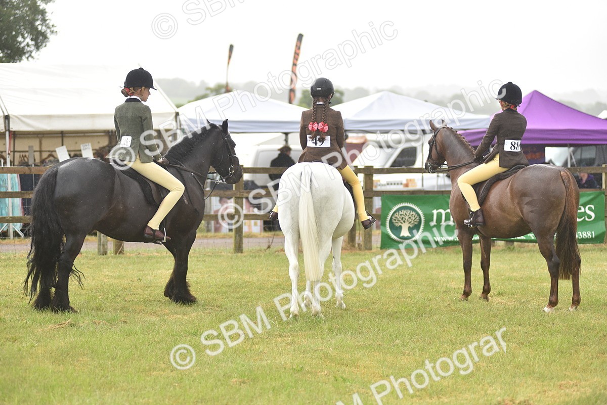 SBM_12025 - Class 110-112 - LIHS BSPS Performance Pones