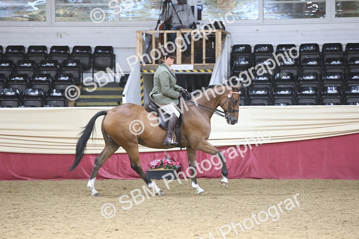 SBM_23812 - class 906 - Supreme Final - Ridden Pre Vet