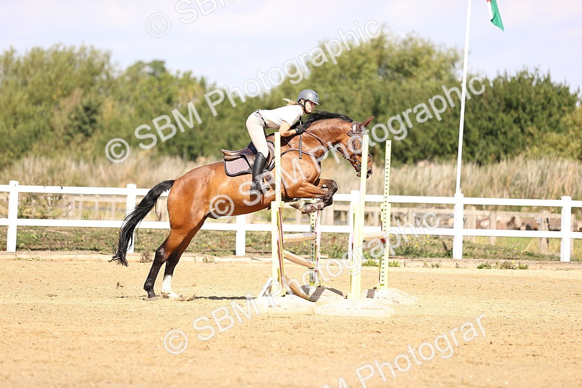 SBM_005855 - Class 9 - Senior British Novice - 90cm