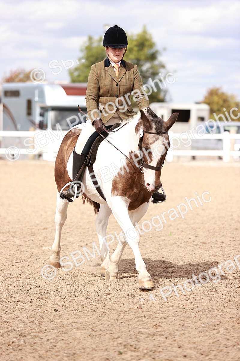 SBM_14371 - Class 409 - Grassroots Ridden - Pony