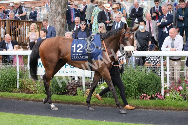 yr20082021r4-65 - Race 4 3.35pm Coolmore Wootton Bassett Nunthorpe Stakes (British Champions Series Race)
