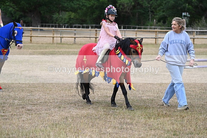 WJ6_8660 - Class 11 Fancy Dress