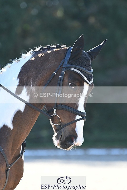 231110-114315-00503 - Cls 3 Novice 22