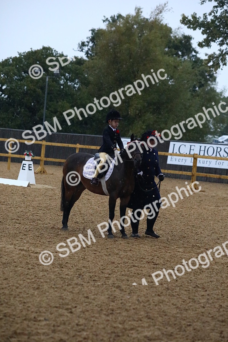 SBM_34706 - D26 - Starters Lead Rein