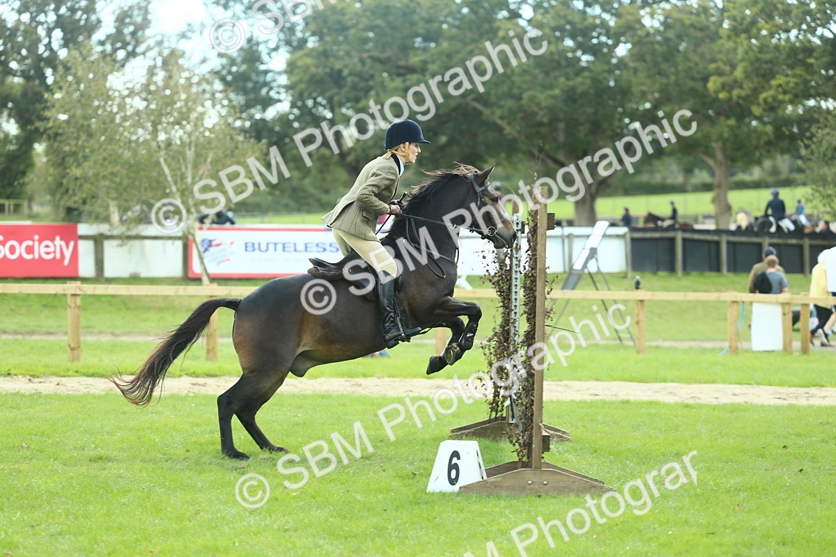 SBM_42908 - S30 - M&M Working hunter Pony