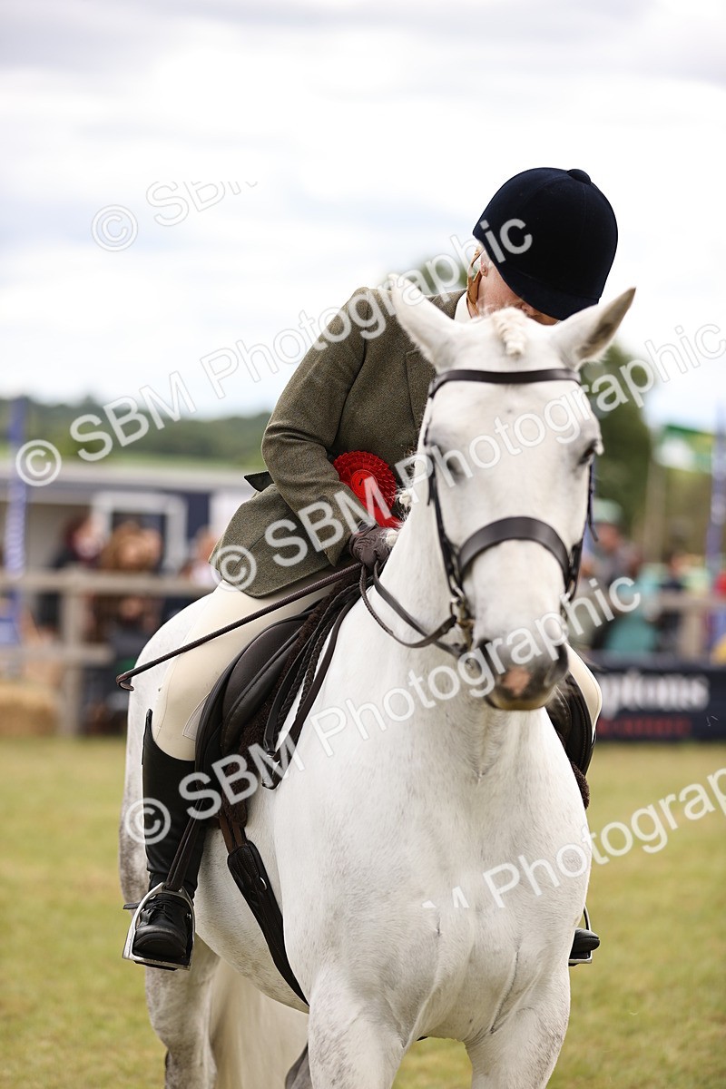 SBM_14629 - Class 88-89 - LIHS BSHA Rising Star of Ridden Hunter Type
