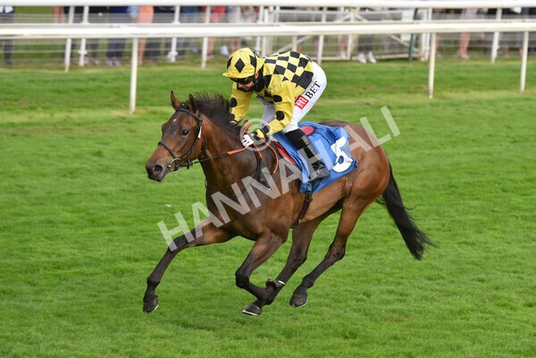 yr23072021r3-31 - Race 3 7.00pm The JKH 80th Birthday Celebration EBF Novice Median Auction Stakes (Plus 10 Race)