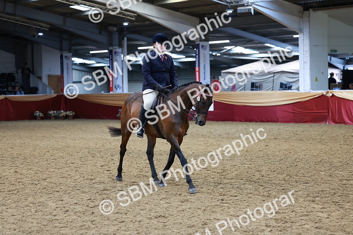 SBM_14942 - Class 108 - Ridden Retired Racehorse