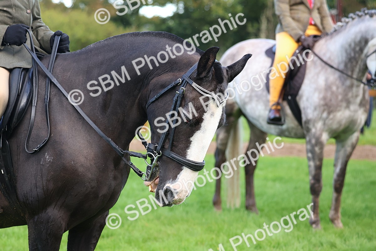 SBM_36886 - S11 - Best Ridden Horse & Pony