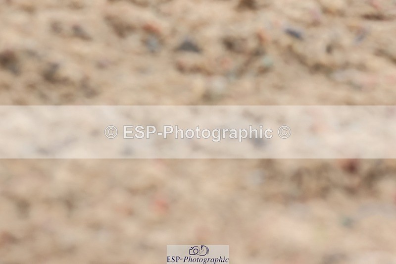 250622-133130-16707 - Cls 50 Elementary 5, 13.10 to End