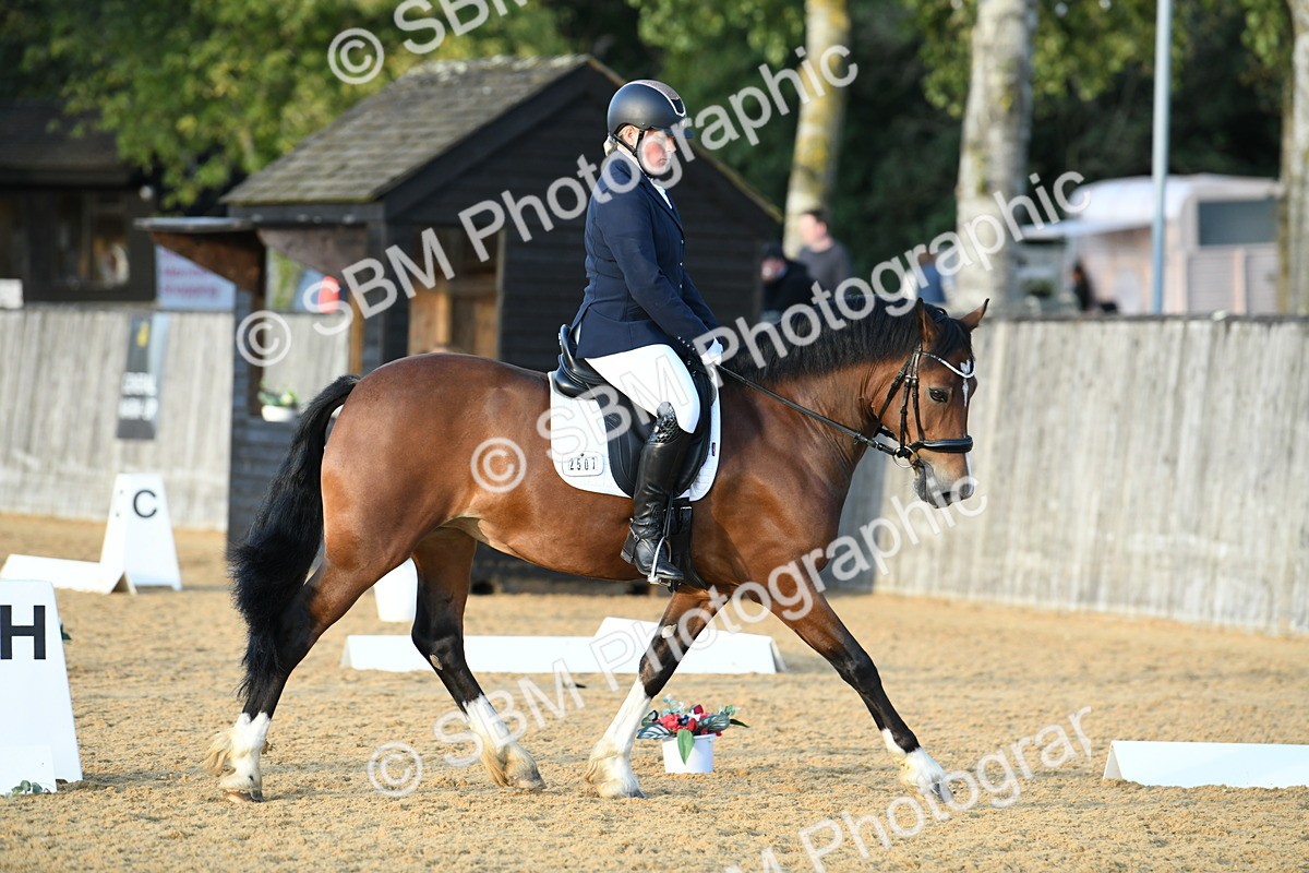 SBM_30924 - D16 - Small Tour Championship - Novice 28