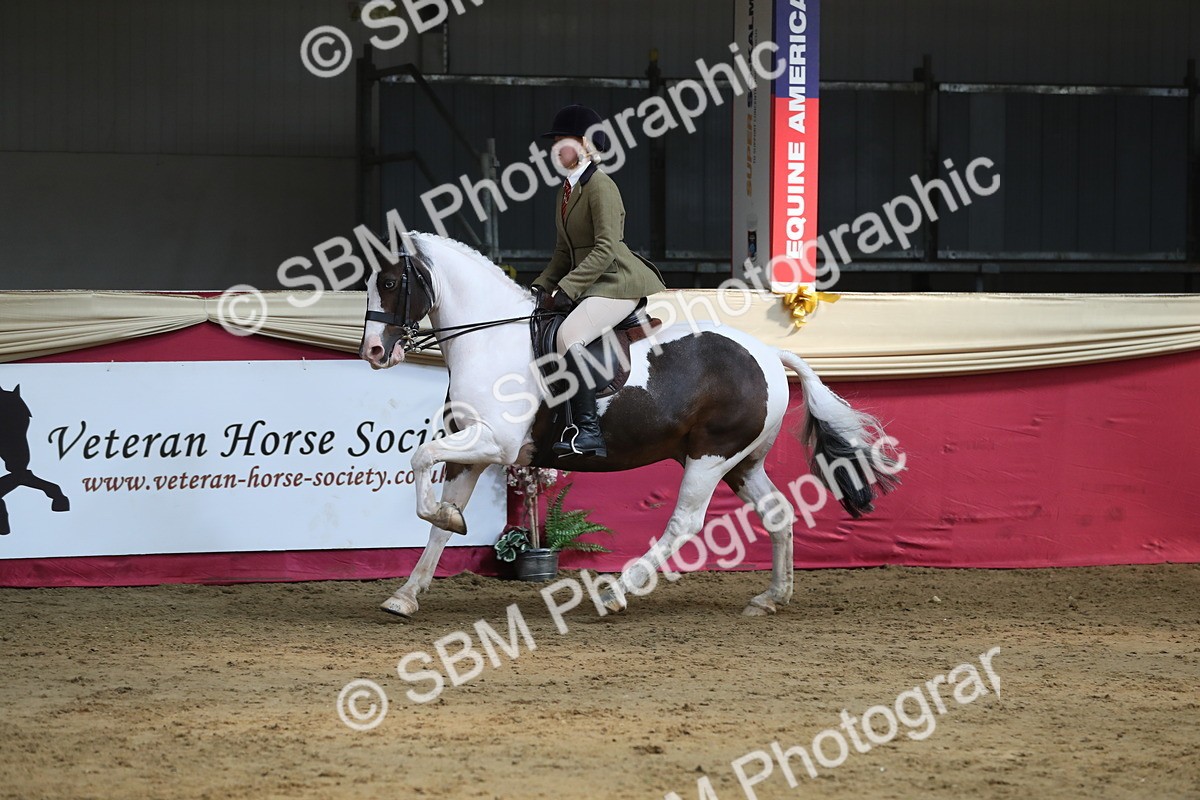 SBM_08354 - Class 11R Regional Ridden Veteran