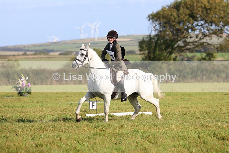3E7A5834 - Class 1: Trebudannon Open: Dressage (Part 2)