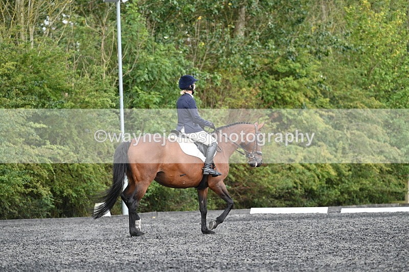 WJ7_7945 - Time 13:40 to 14:00