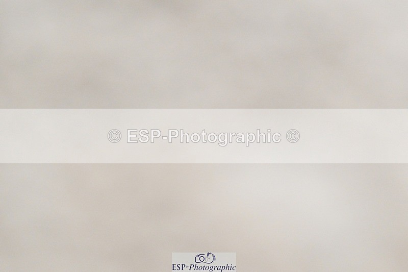 241103-145750-02557 - Prelim 2 - 14.41 to 15.51