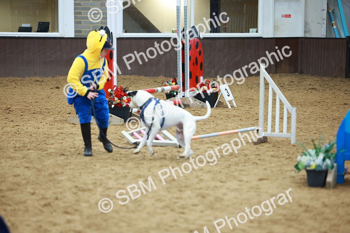 SBM_002277 - Class 3 - Horse & Hound (60cm)