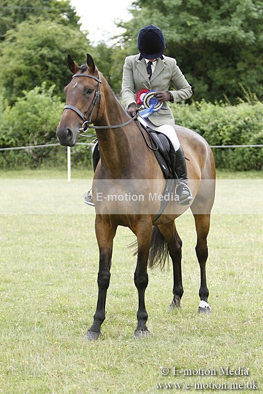 BVR160717-2316 - Working Hunter Championship 16/07/17