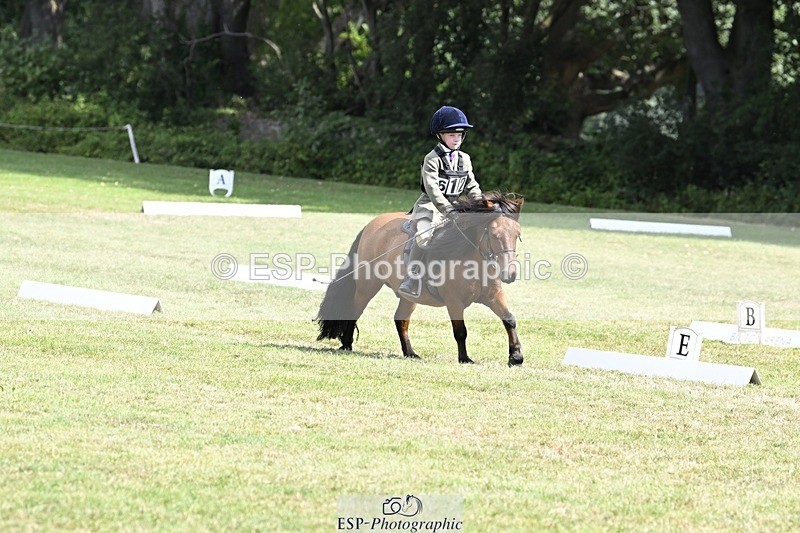 250822A-115658-22468 - DR 11.00 to 12.00