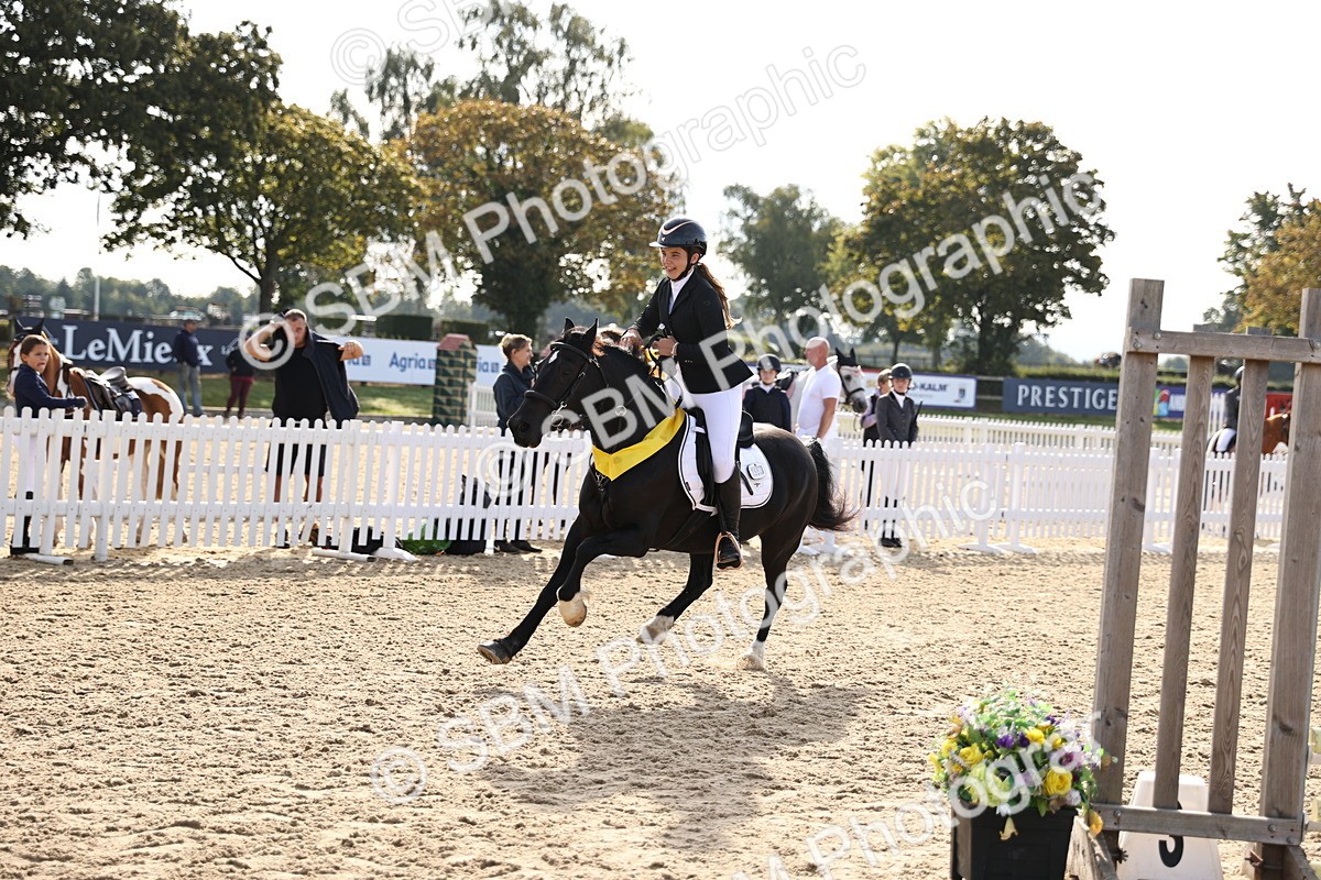 SBM_59783 - J11 - Junior Pony 50cm Championship