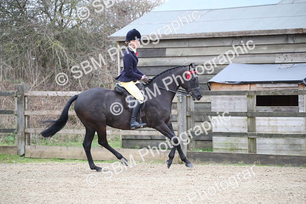SBM_004708 - Class 5-9 - NPS In Hand-Show Hunter-Intermediate Ridden Inc Ridden Championship