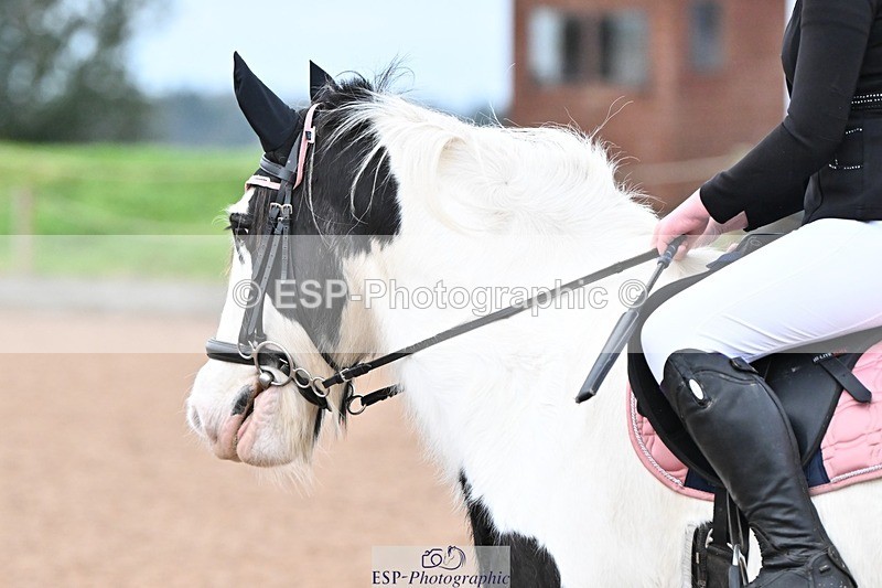 241116X-082957-00282 - Clear Round