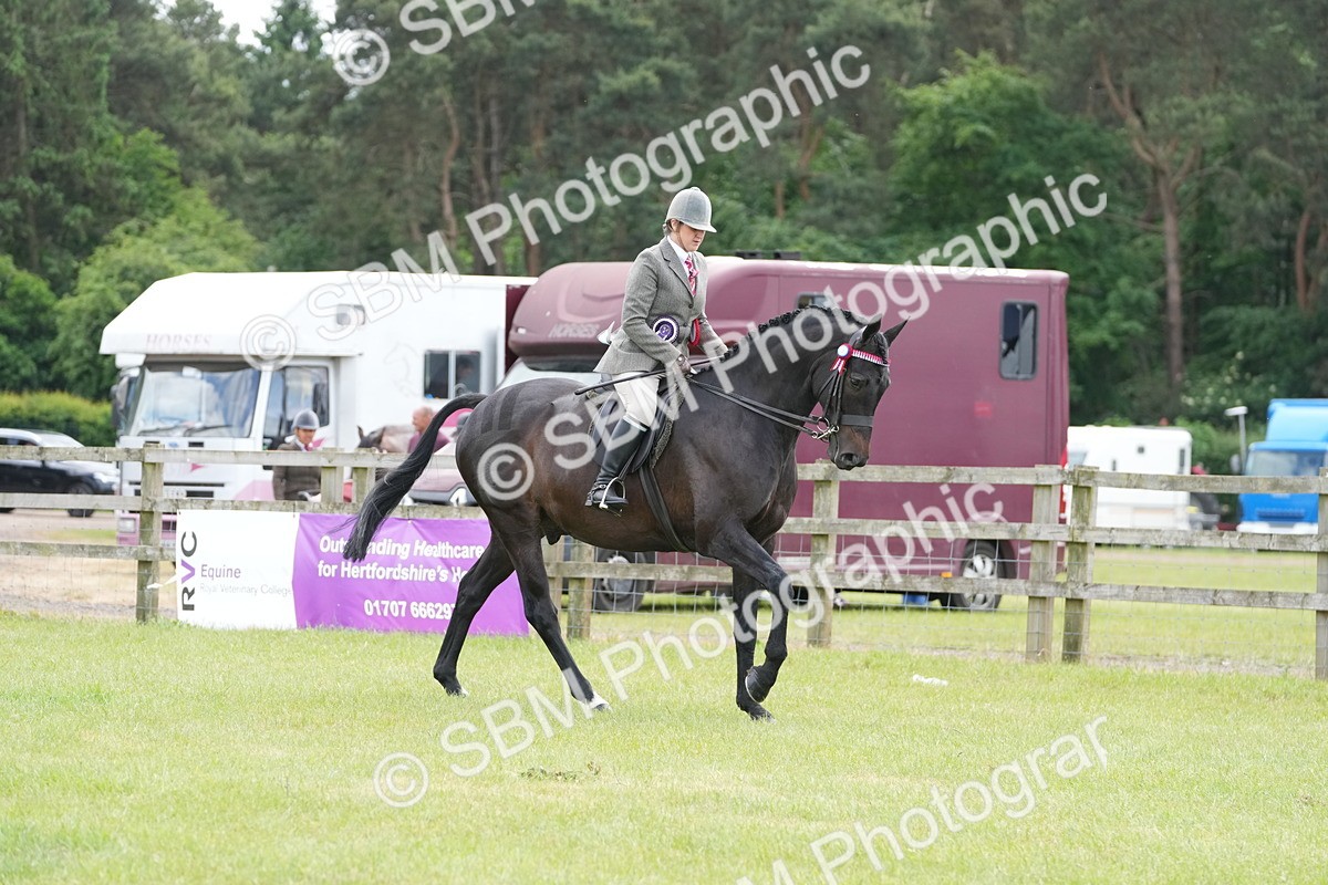 SBM_16227 - Class 105-106 - RIHS Riding Horses