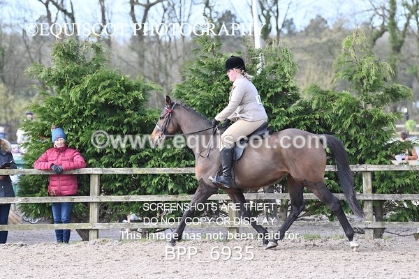 BPP_6935 - RING 1  (RIDDEN HORSES / IN HAND / VETERAN ETC)