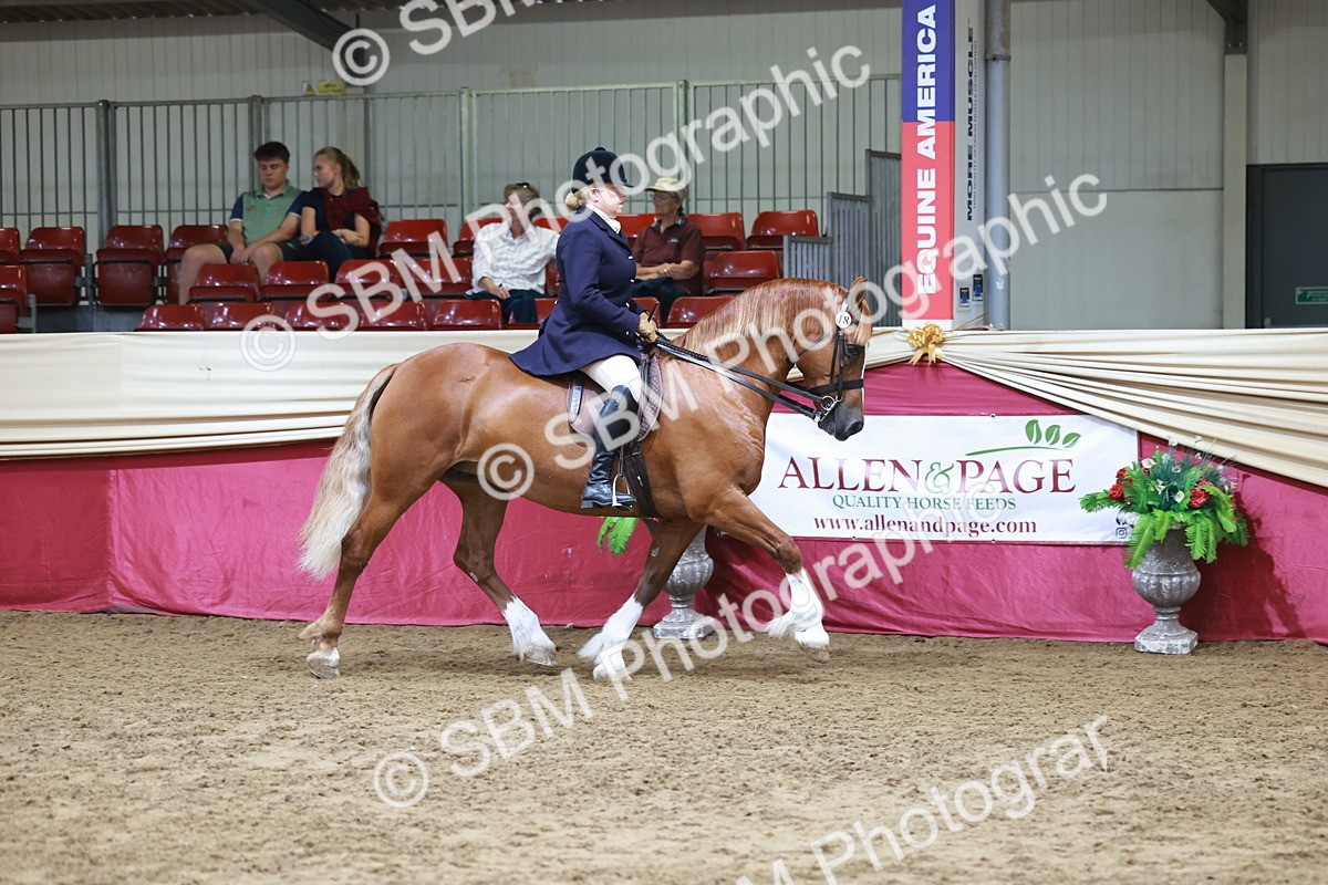 SBM_18543 - Class 952 - M&M Ridden Supreme Final