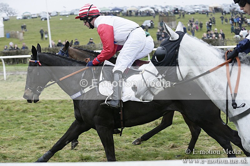 PtP 020418 -49 - Old Berks Point-to-Point Races Easter Monday 02/04/18