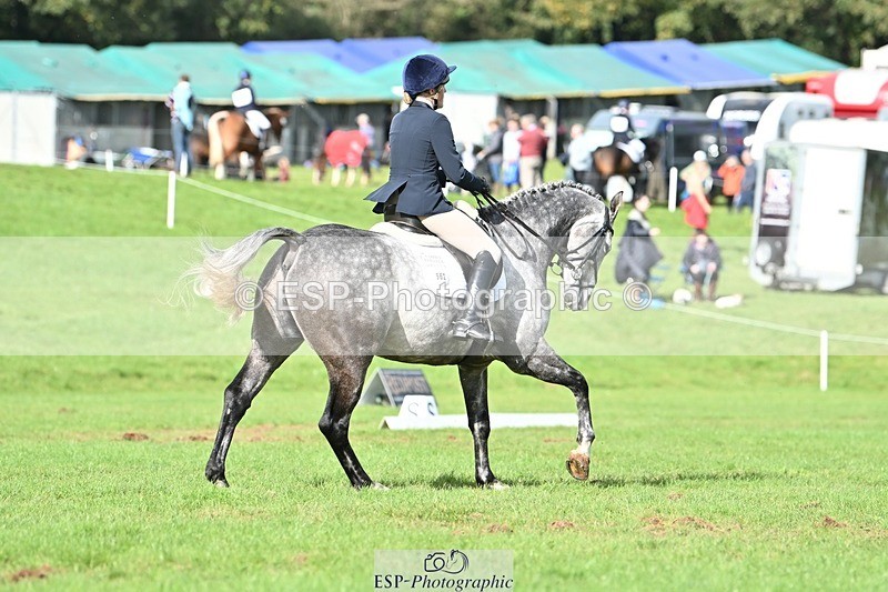 231020-140629-10835 - 662-PAULS.JOE-Eliza.Hallett-DR