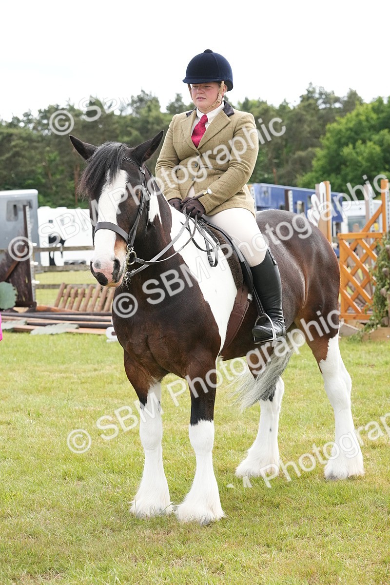SBM_17336 - Class 107-108 - LIHS BSPS Performance Coloured Horse Pony