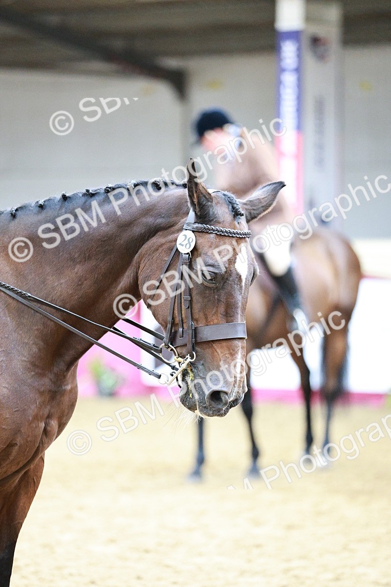 SBM_02269 - Class 4A - Area Ridden Diamond