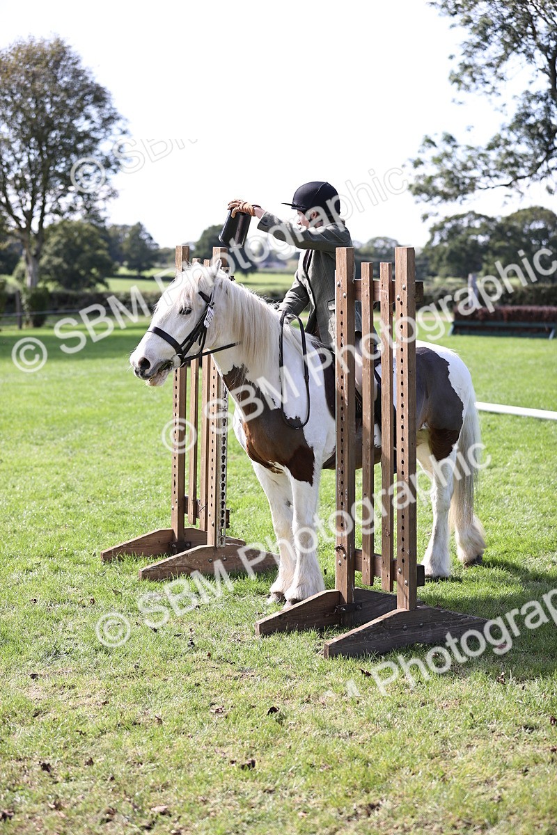 SBM_22977 - S4 - Have a Go at Working Equitation