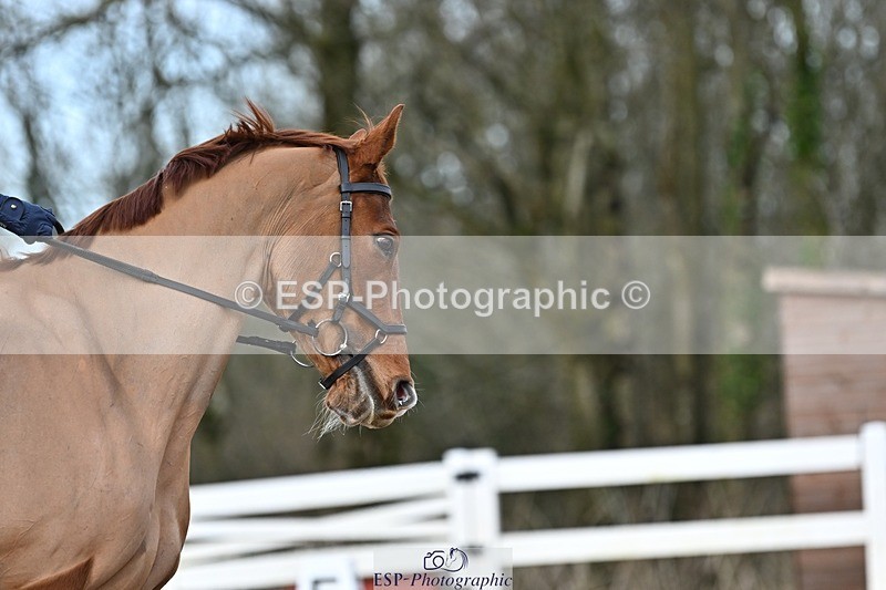 250125-133957-00664 - Dressage - CT Class 7 BE Novice 112