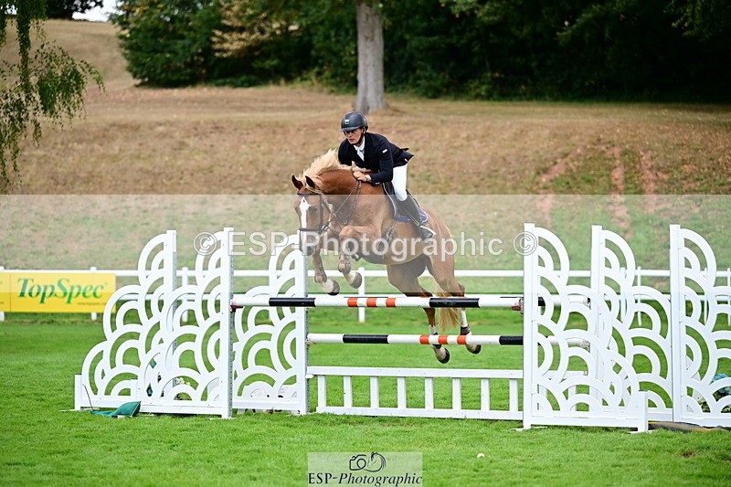 2026-08-21A-DSC_4077 - Cls 2 Snr Foxhunter