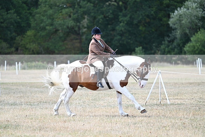 WJ7_7066 - Class 14 Ridden Coloured