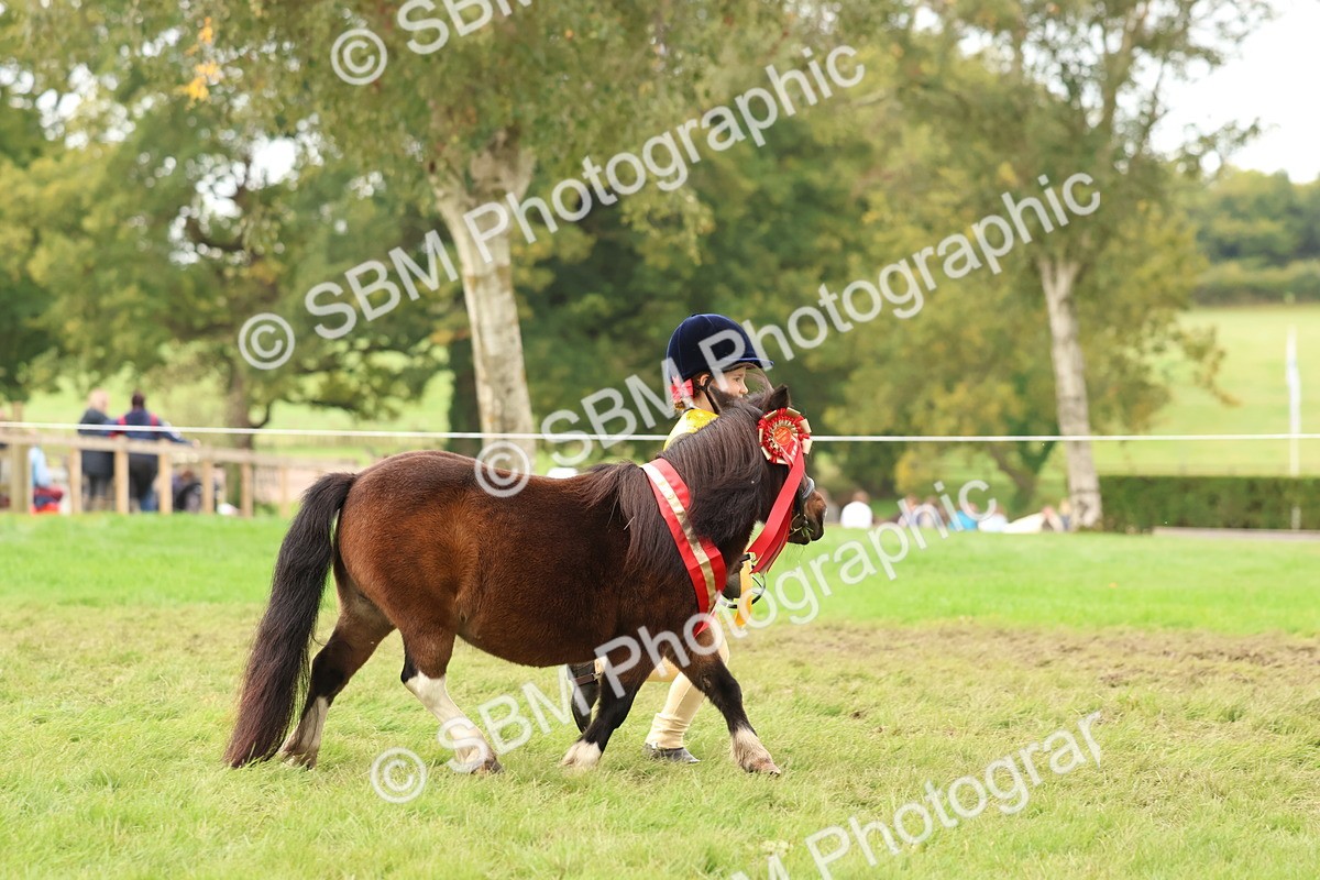 SBM_59817 - Start Supreme Championship