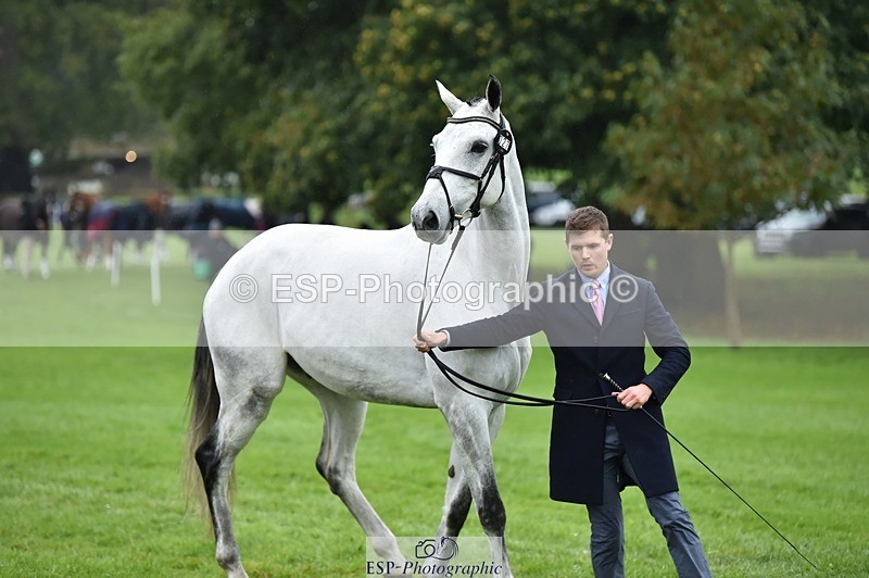 231018-121844-00200 - 027-IE.MR.MCGREGOR-Will.Furlong-TrotUp